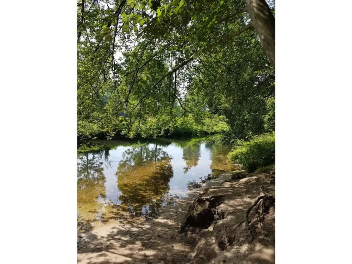 Garden Magic Comfortable Holiday Residence