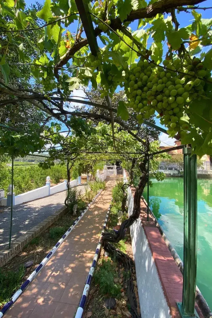 Room-orange Room Your Refuge of Tranqu