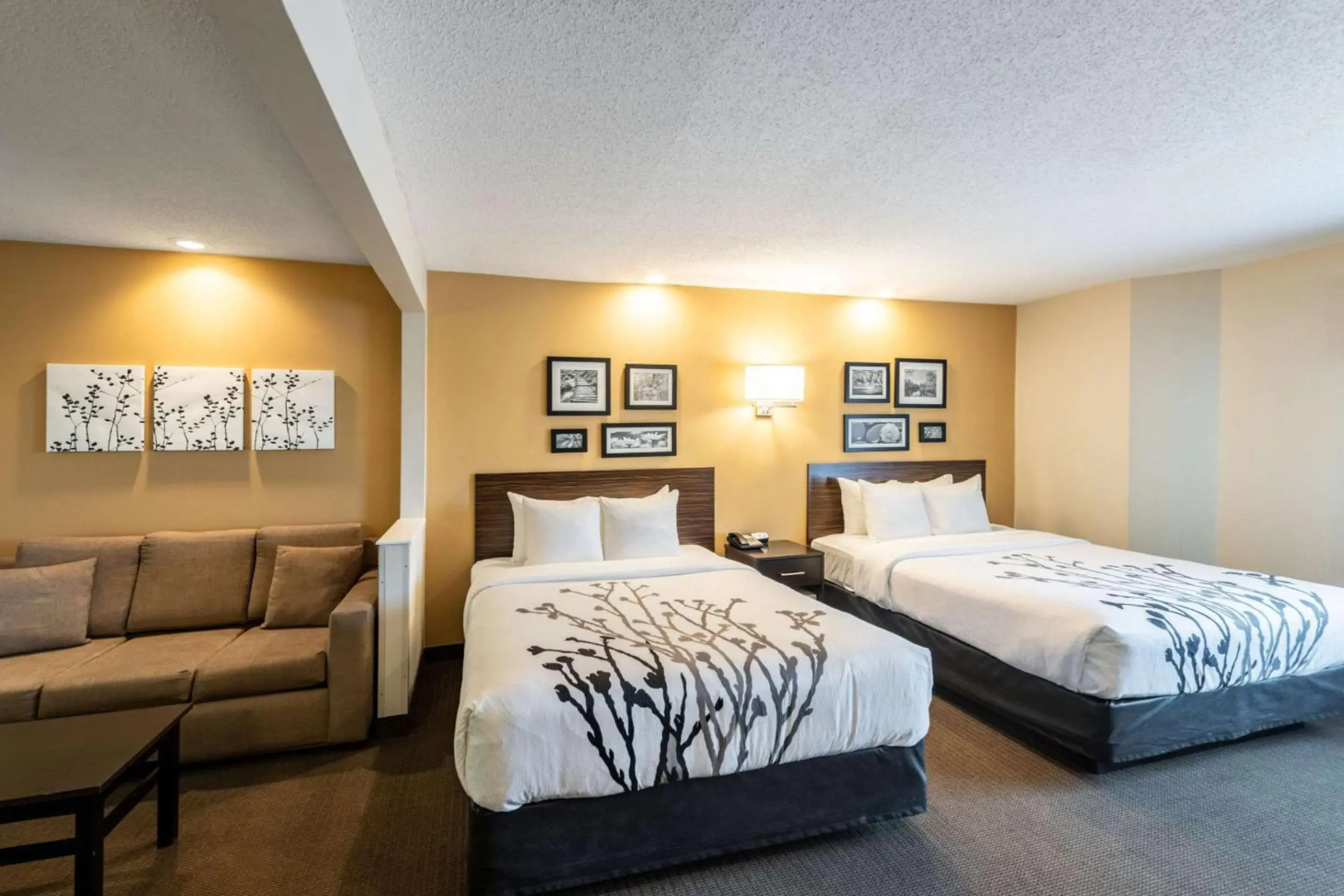 Sleep Inn & Suites Green Bay South