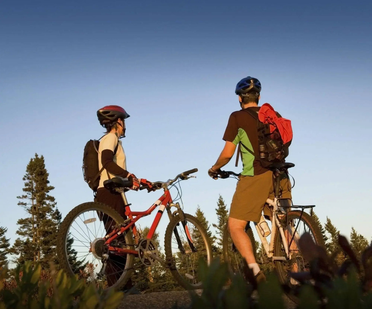 Wellness Hotel Frymburk