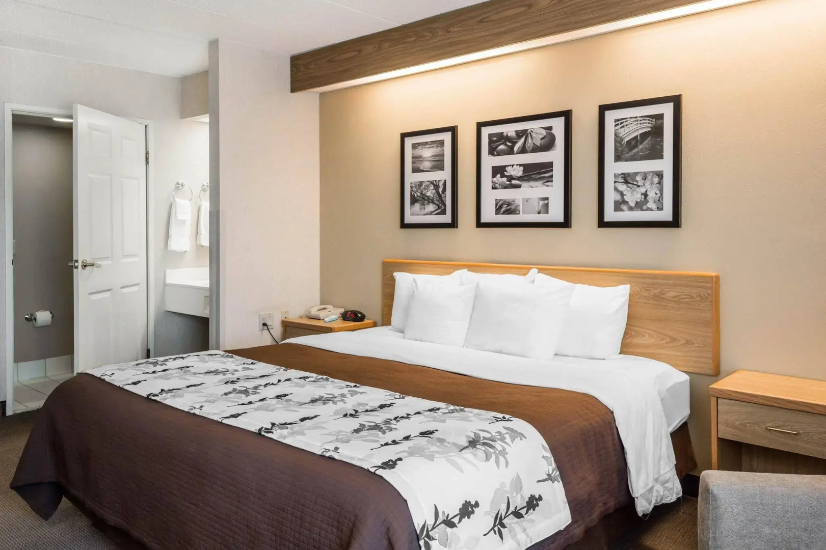 Spark by Hilton Lynchburg