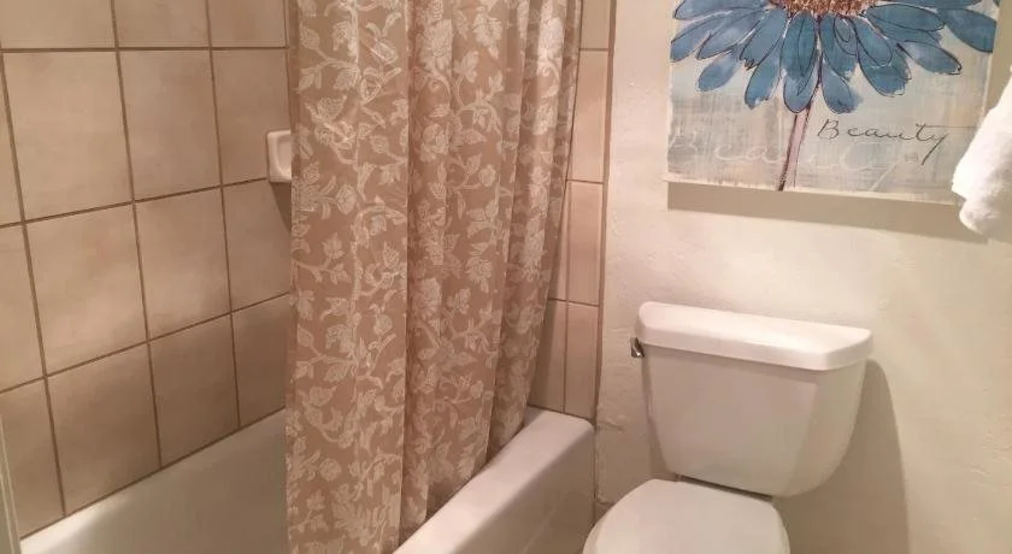 The Jack London Lodge