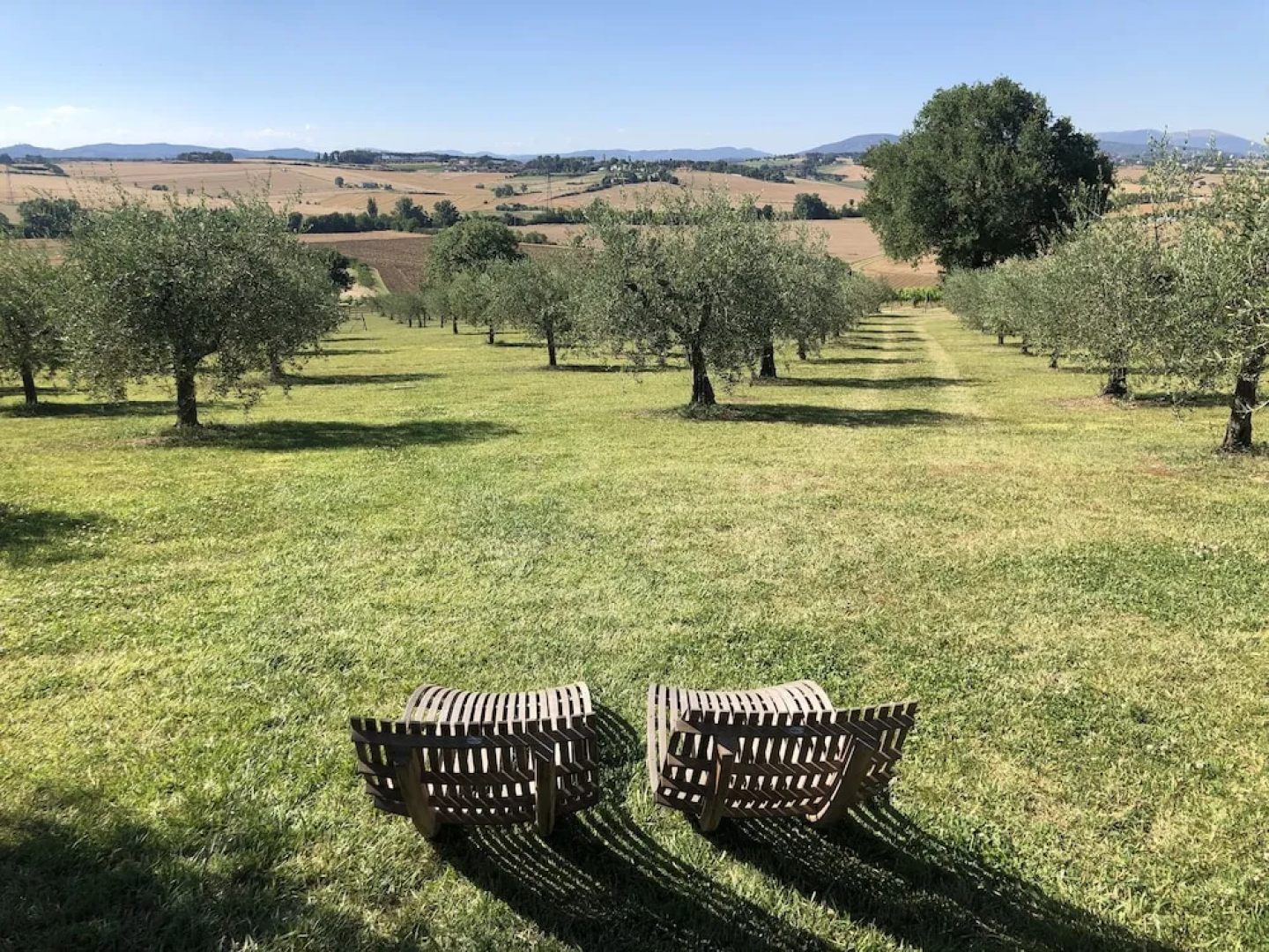 Tenuta Dei Mori