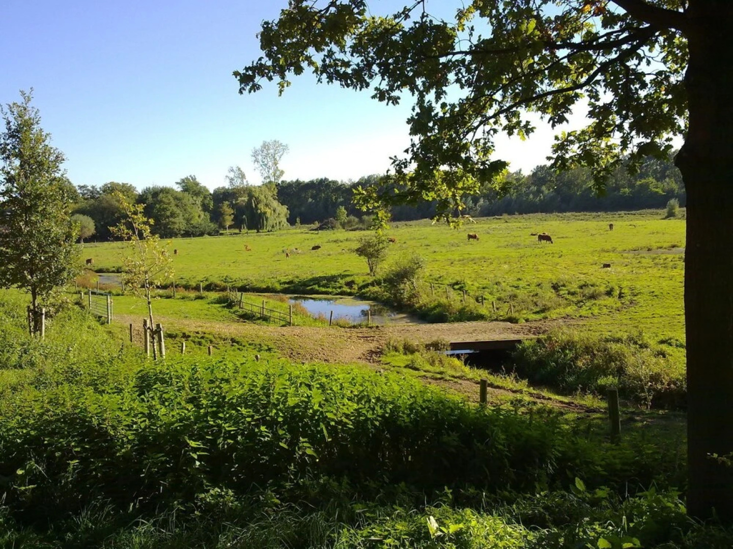 Cozy Apartment in Roasting near Belgian Border