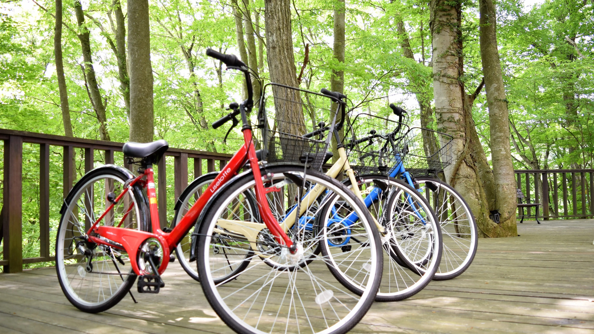 Hotel Balmoral Karuizawa