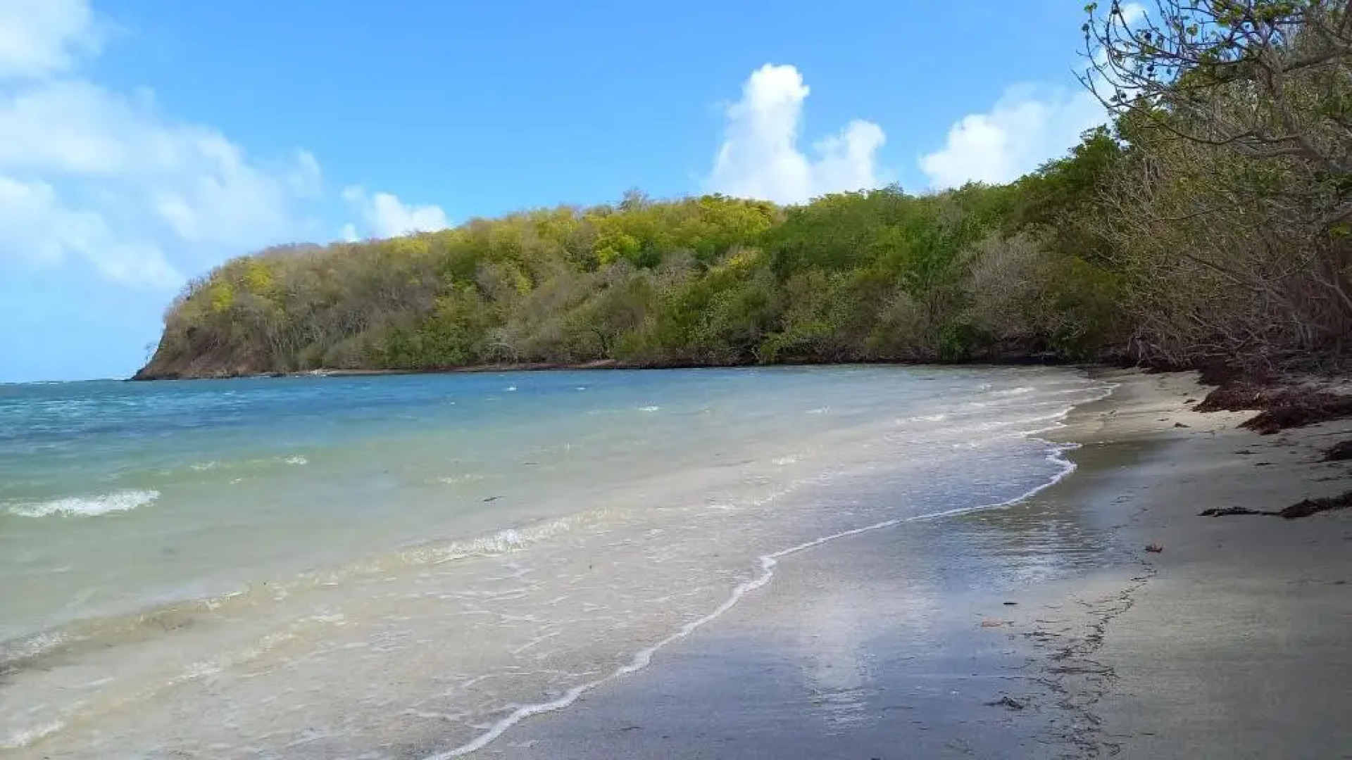 Beau F2 classé, vue mer, spa, jardin, parking et deck privatifs - piscine partagée