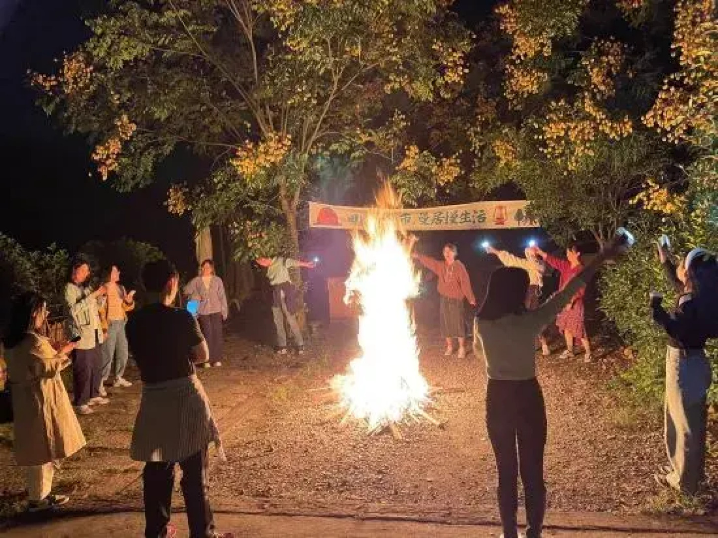 Idyllic Life in Mogan