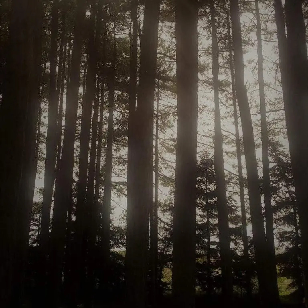 Vytina Mountain View