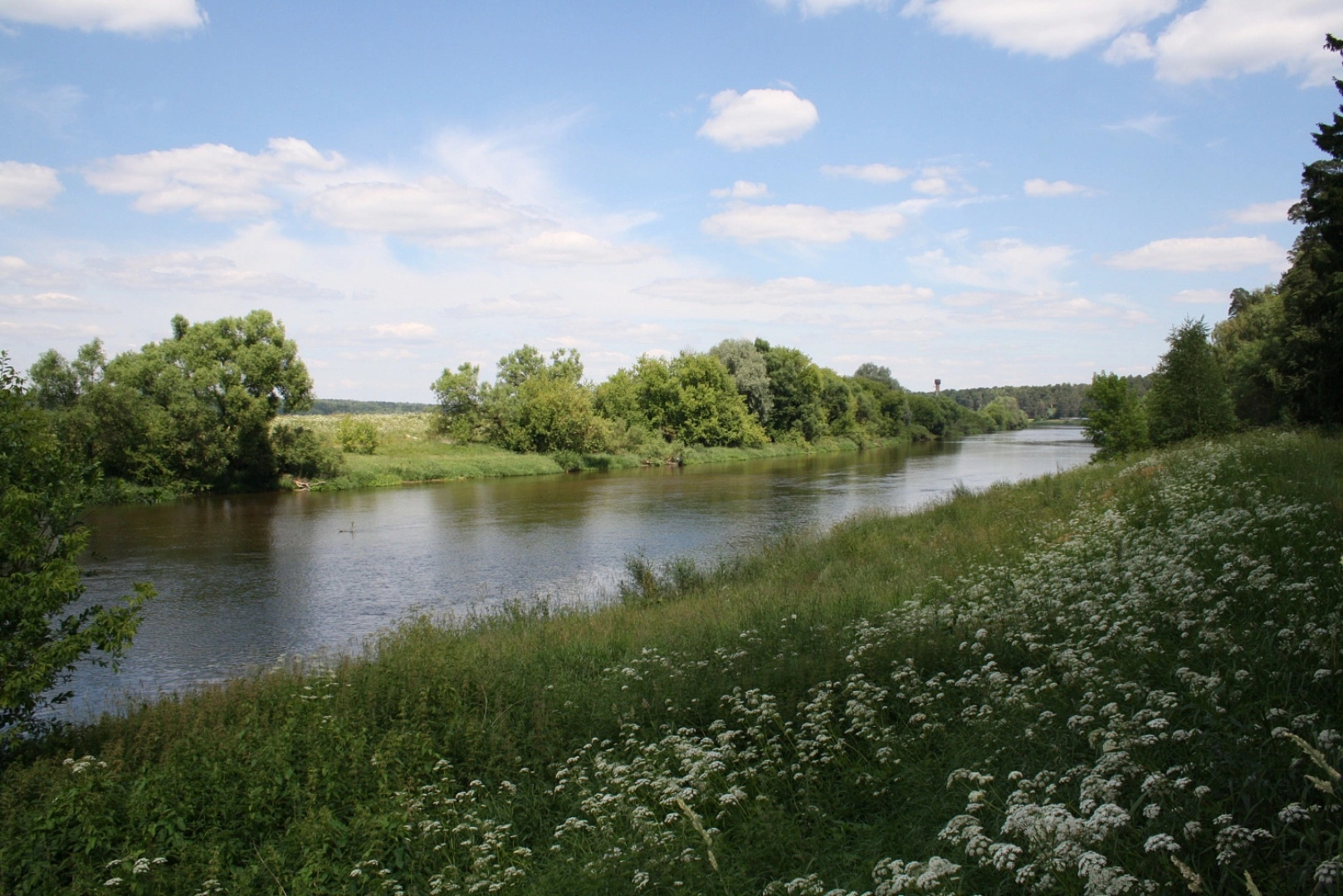 Zvenigorod MGMU imeni I.M. Sechenova