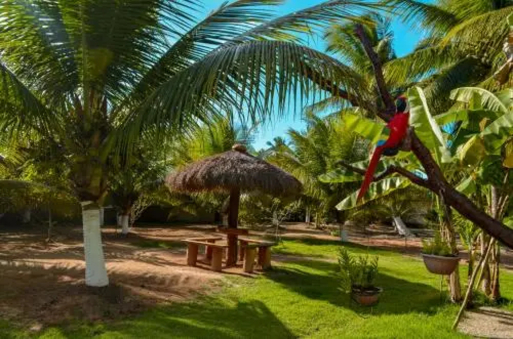 Chalés & Suites Caiçara