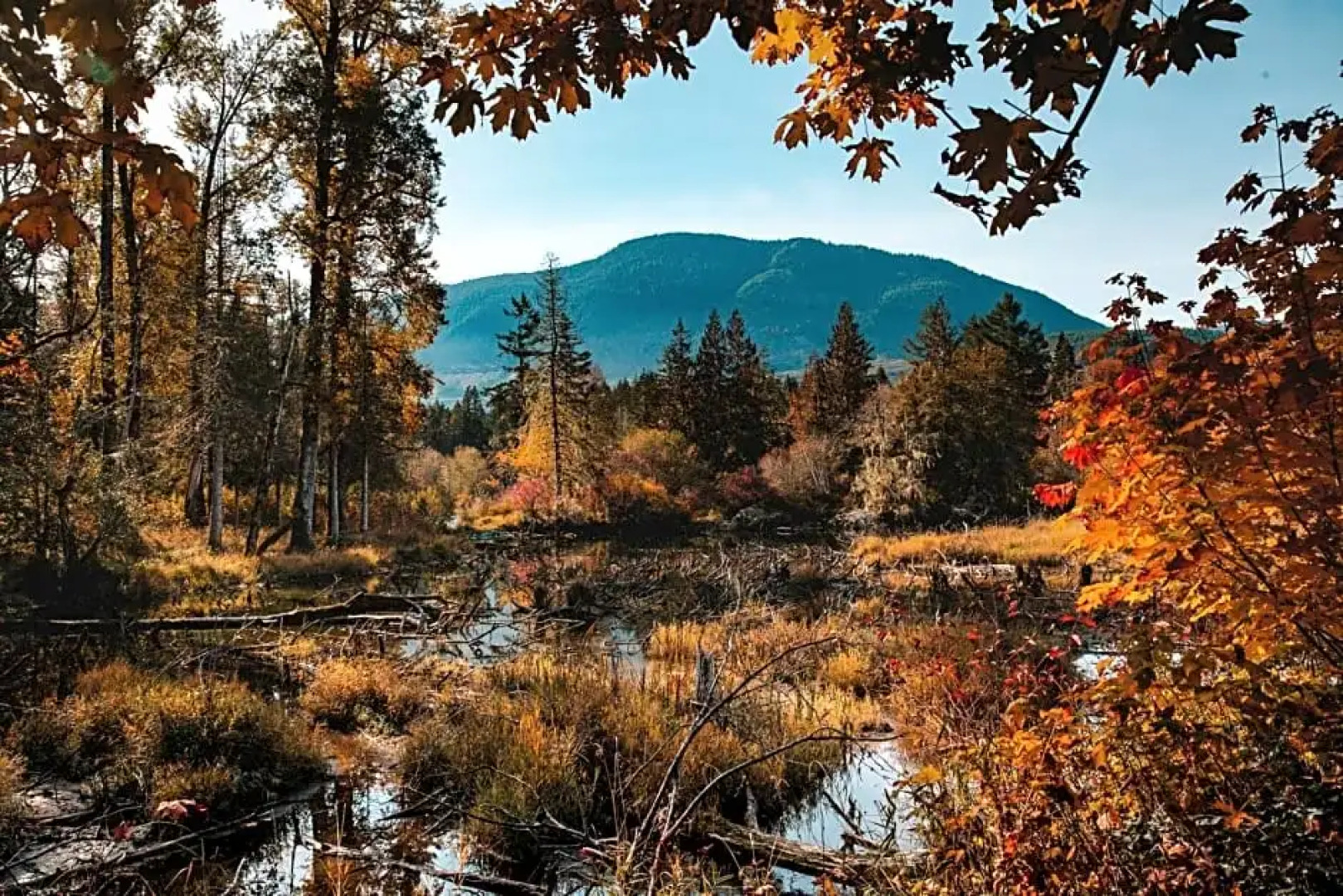 Cowichan River Lodge