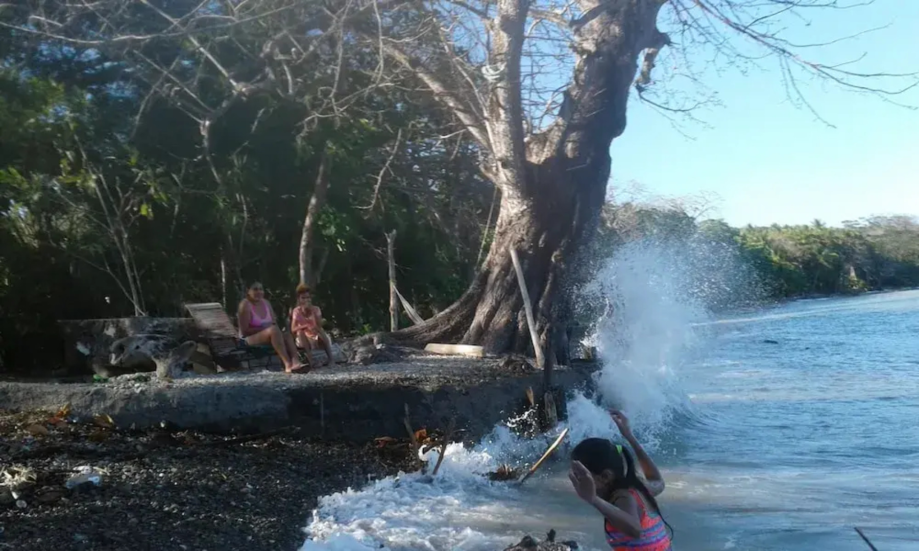 The Howler Monkey Hotel