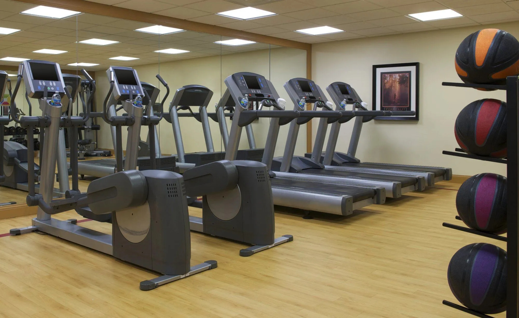 Sheraton Minneapolis West Hotel