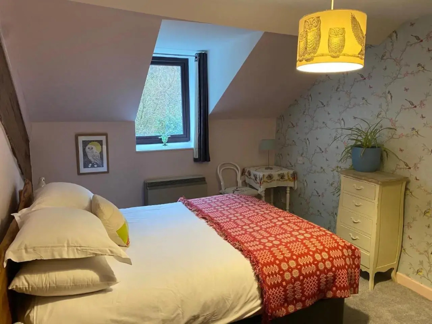 Ty'r Adar at Graig Wen