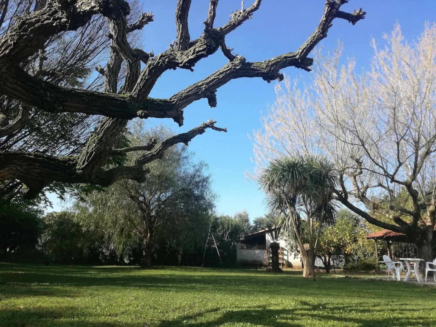 BB Villa Napoli