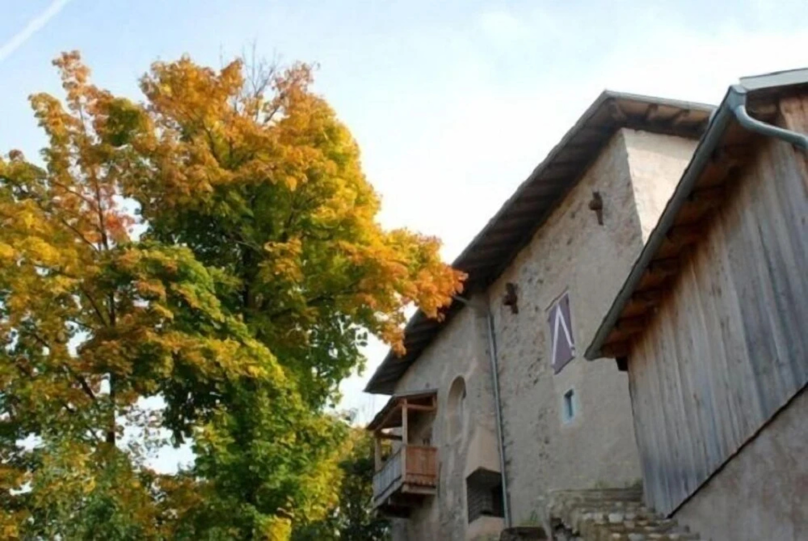 Azienda Agricola Castel Vasio