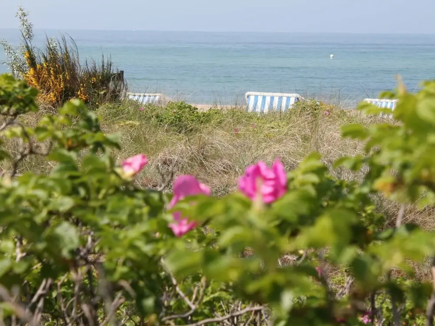 Modern Apartment Near Sea in Kuhlungsborn