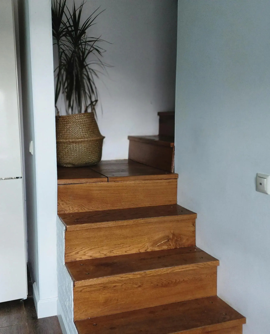 Уютная Орхидея