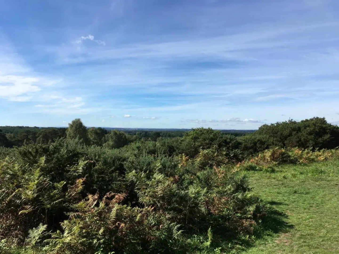 Petherton Cottage Studios