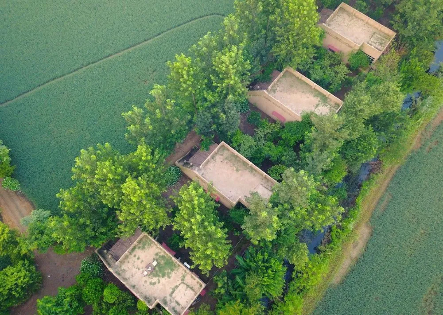 Punjabiyat near Amritsar