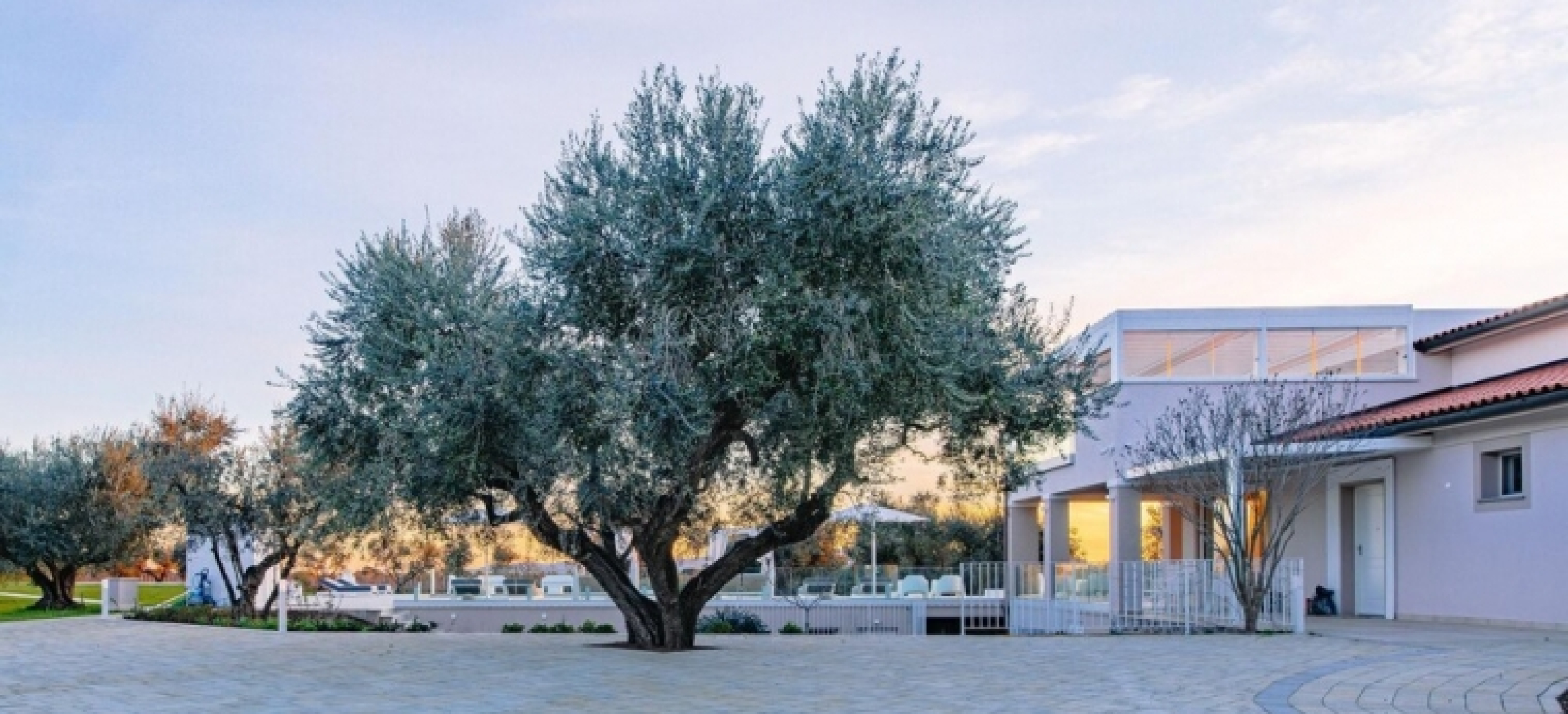 Villa La Perla Tra Gli Ulivi