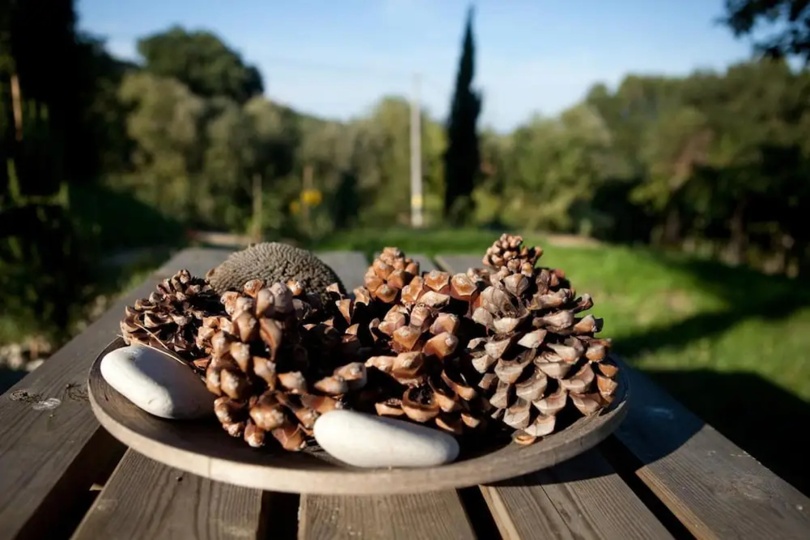Agriturismo Casa dell'Orto