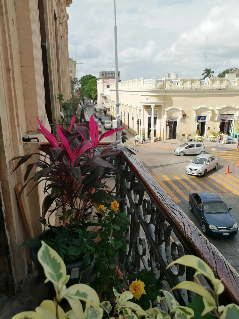 Hostal Zocalo - Hostel