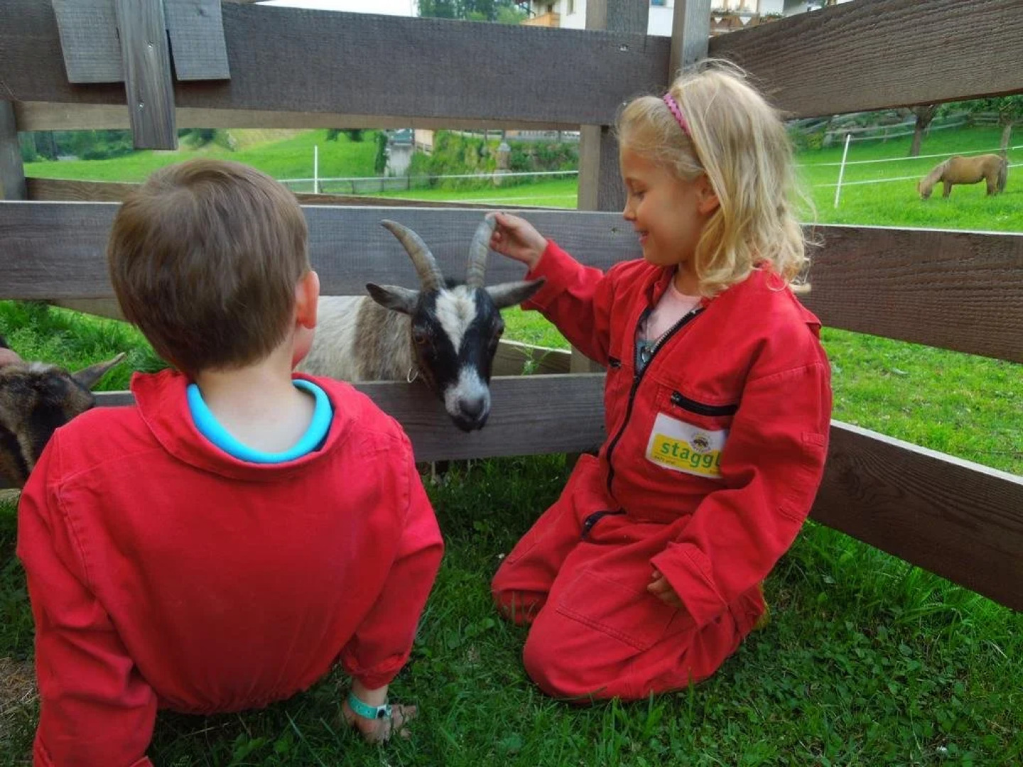 Albeinelerhof - Kinderbauernhof