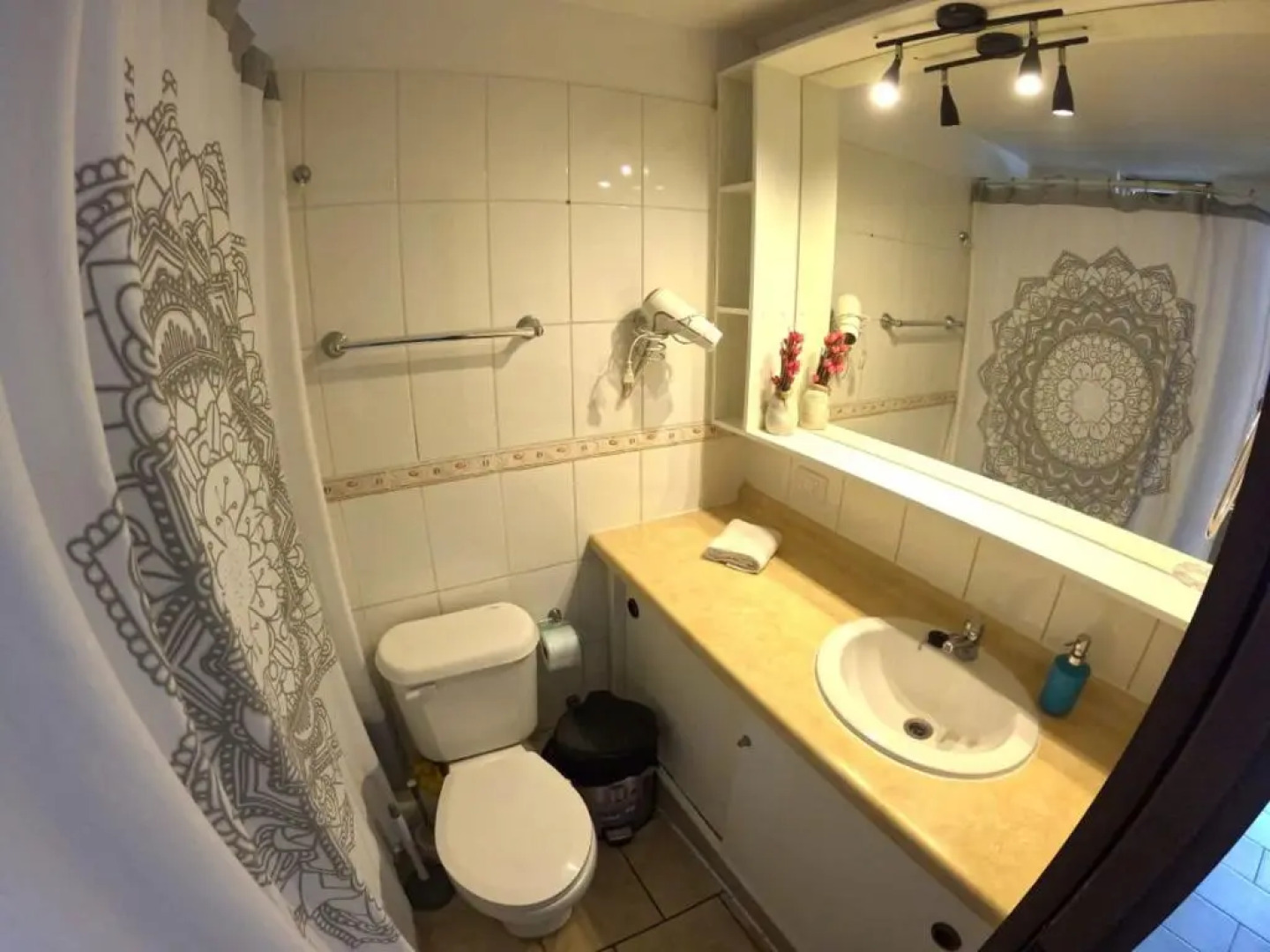 North Suite Apartment