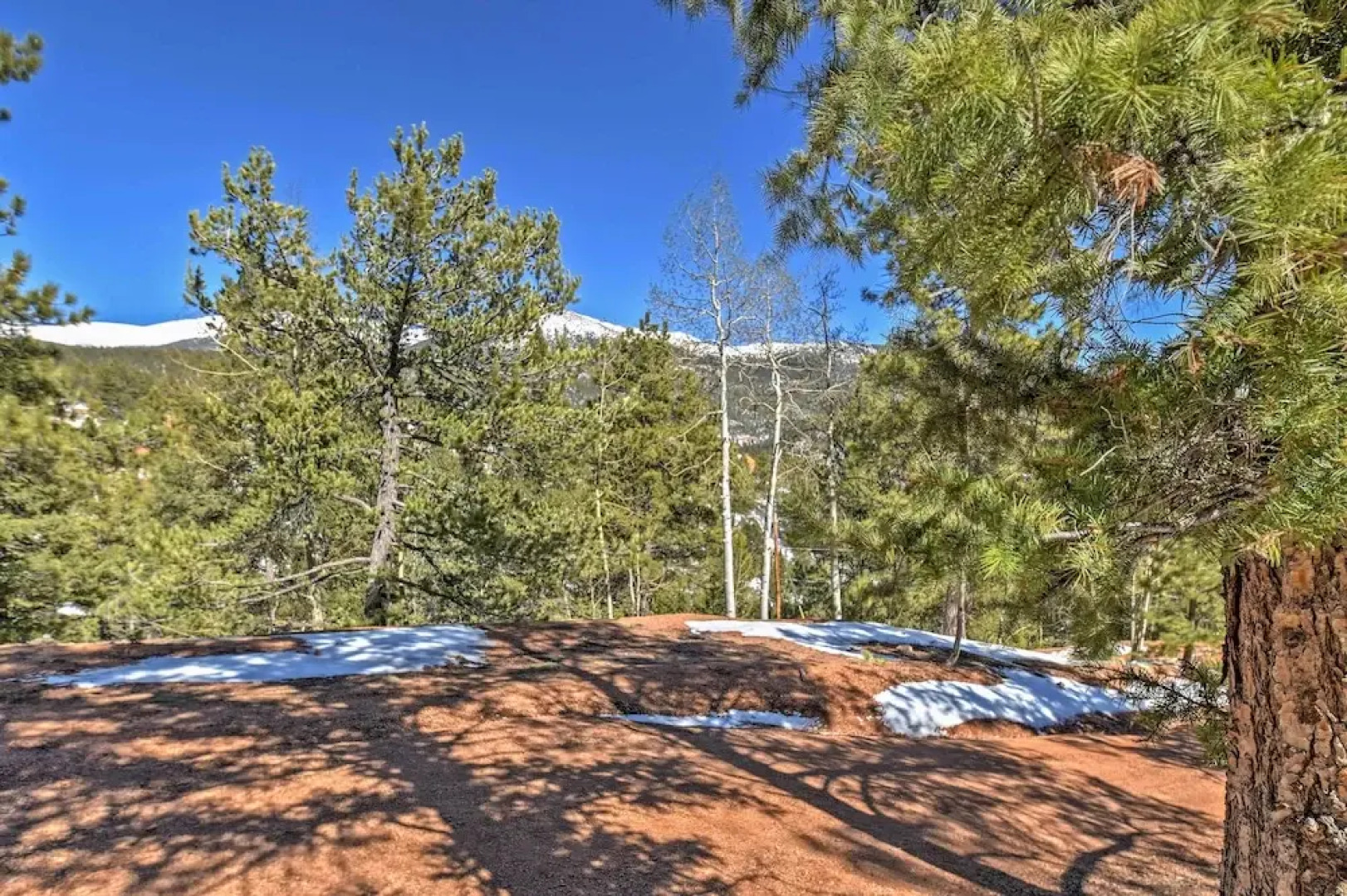 Cabin w/ Mtn Views - 5 Mi to Mueller State Park!