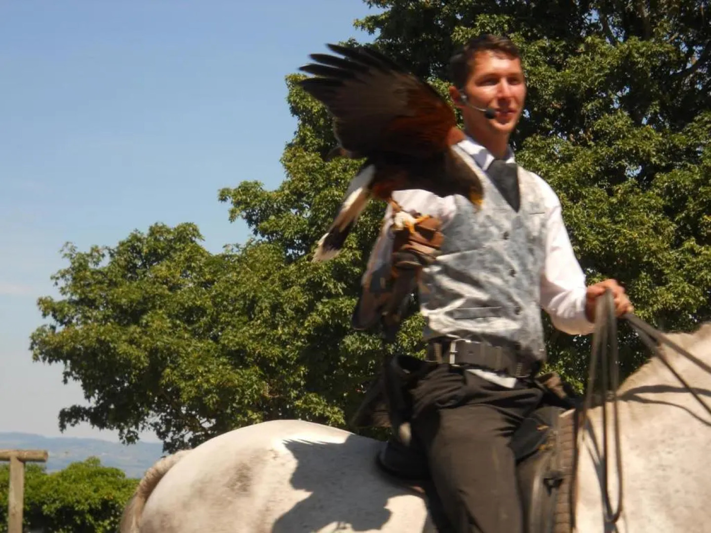 Gîte Saint-Bonnet-le-Courreau, 5 pièces, 6 personnes - FR-1-496-9