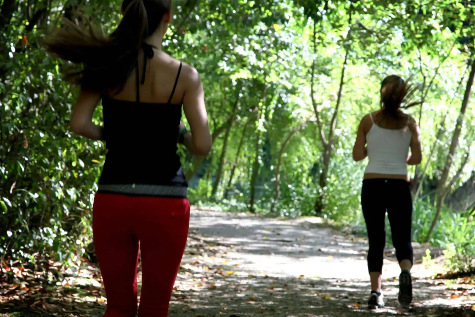 Hotel das Termas Curia