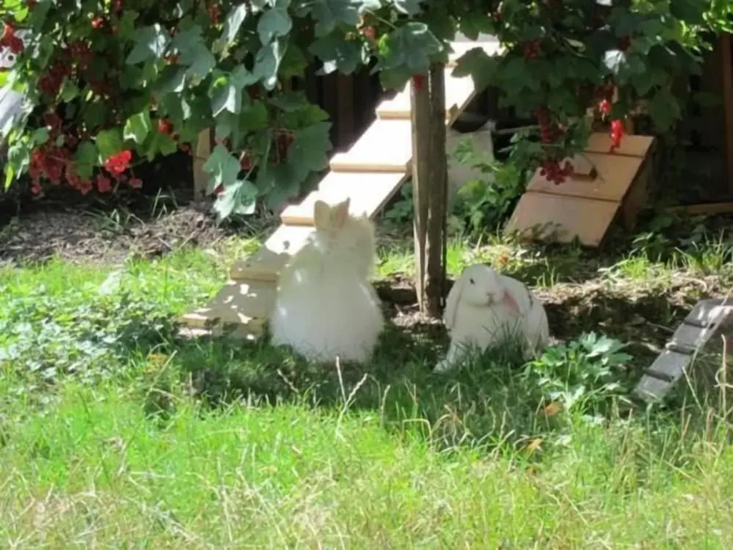 Pension Refugium überm Schwansee