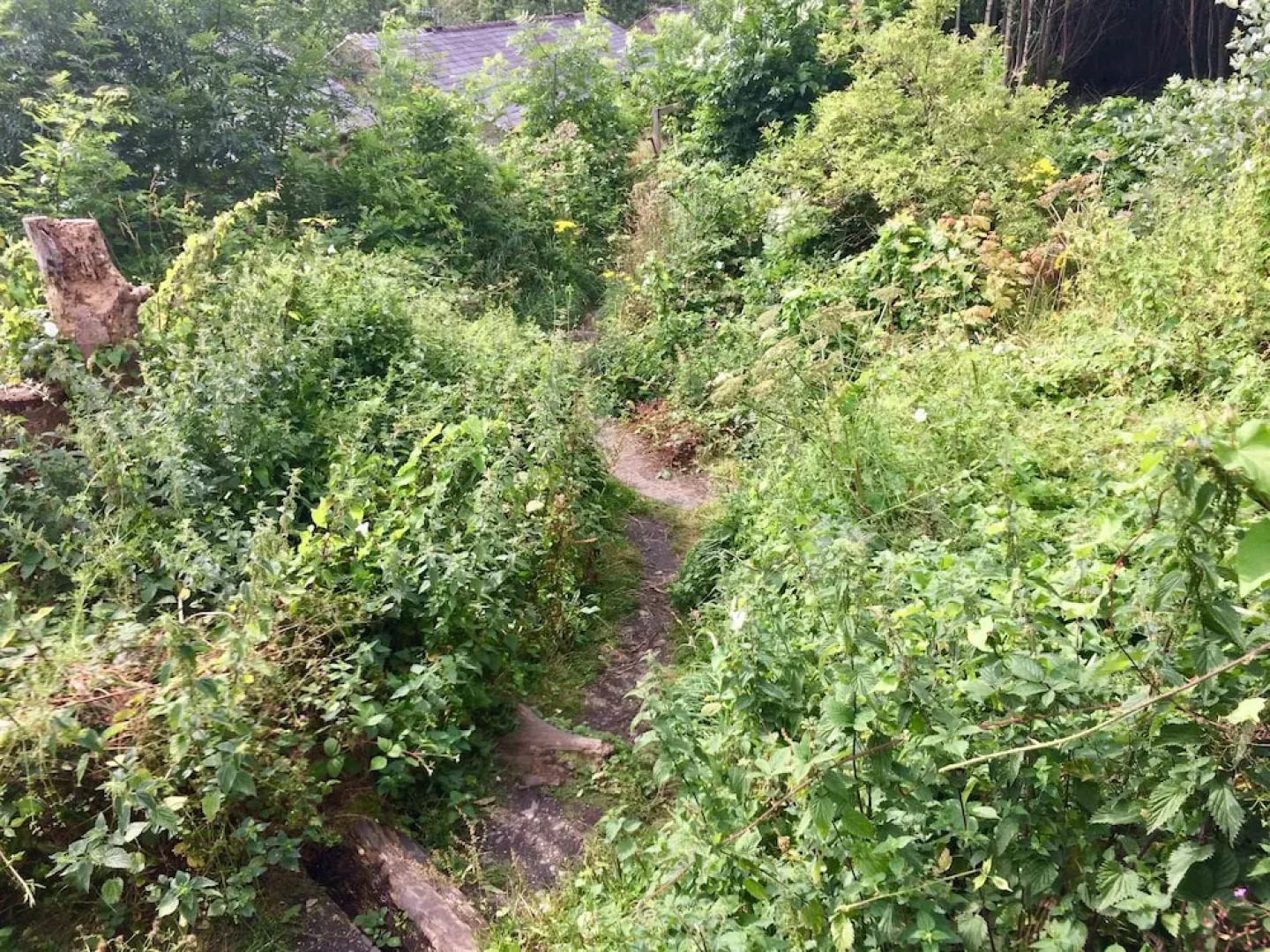 Charming 1-bed House in Hebden Bridge