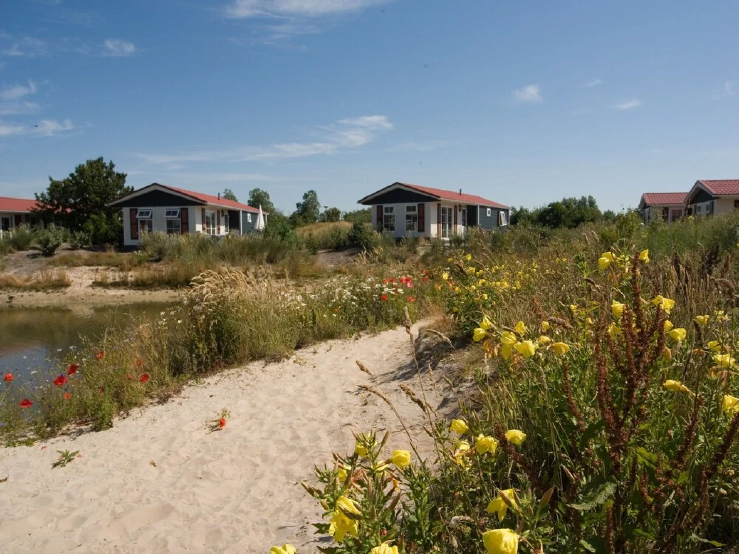 Nicely Decorated Chalet With two Bathrooms, Located on Texel