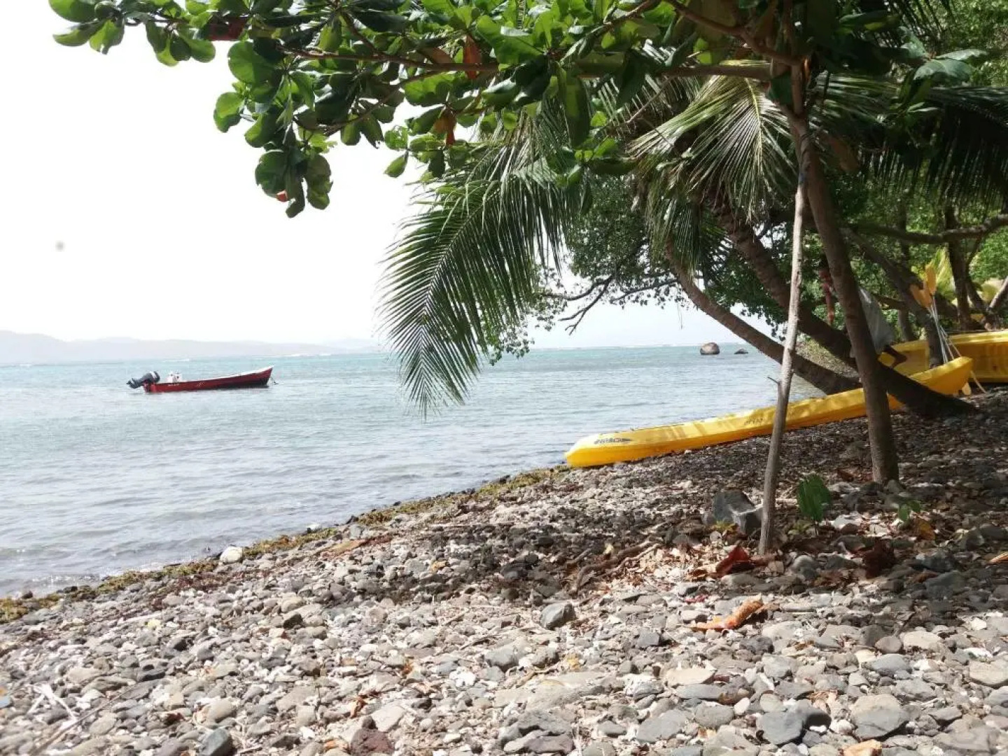 Beau F2 classé, vue mer, spa, jardin, parking et deck privatifs - piscine partagée