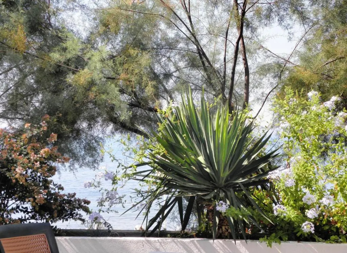 Beach Guesthouse Mediteran