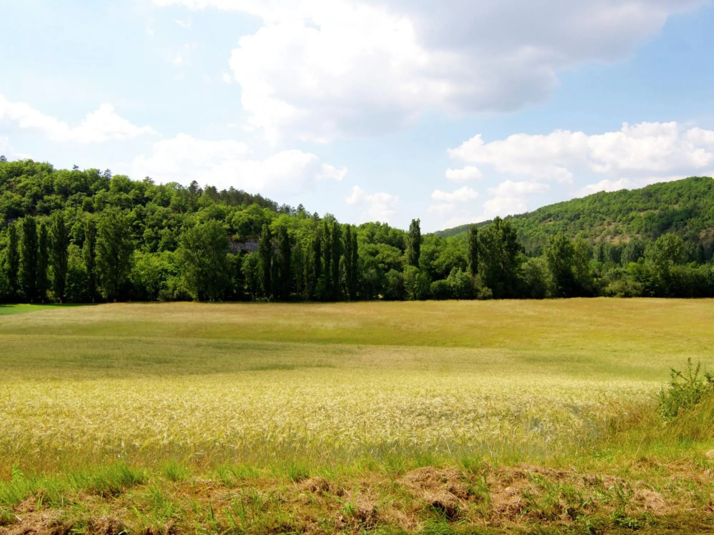 Cozy Holiday Home in Bouzic South of France near Meadows