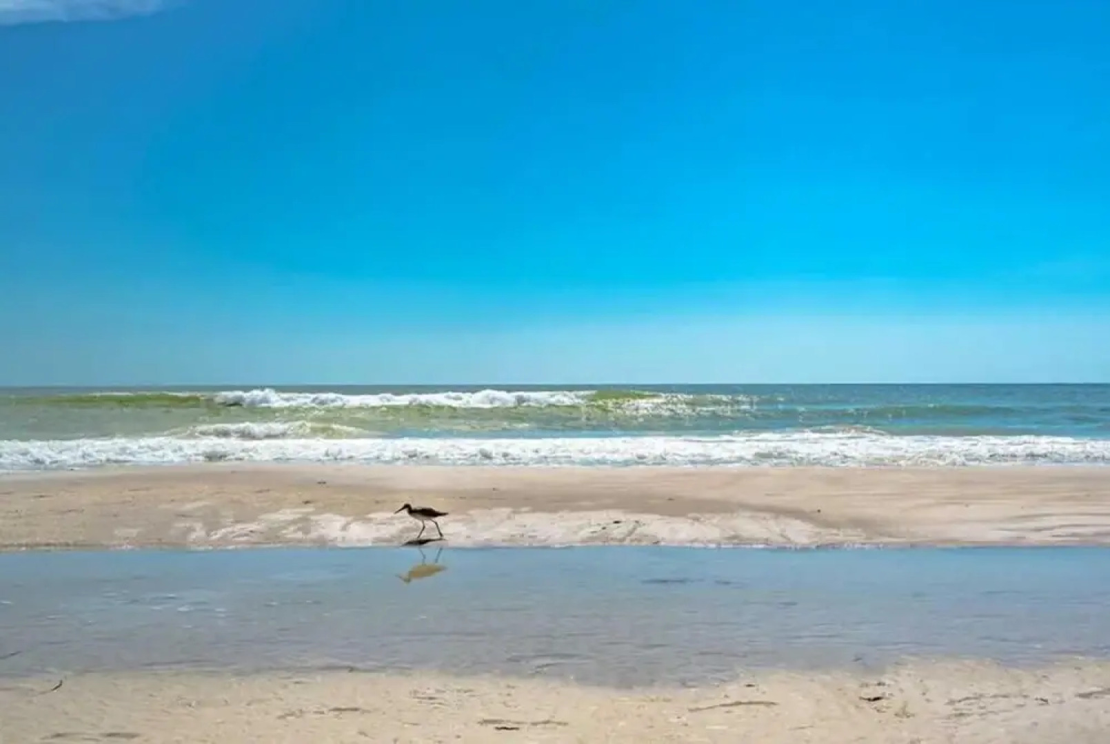 308 - Palms of Treasure Island