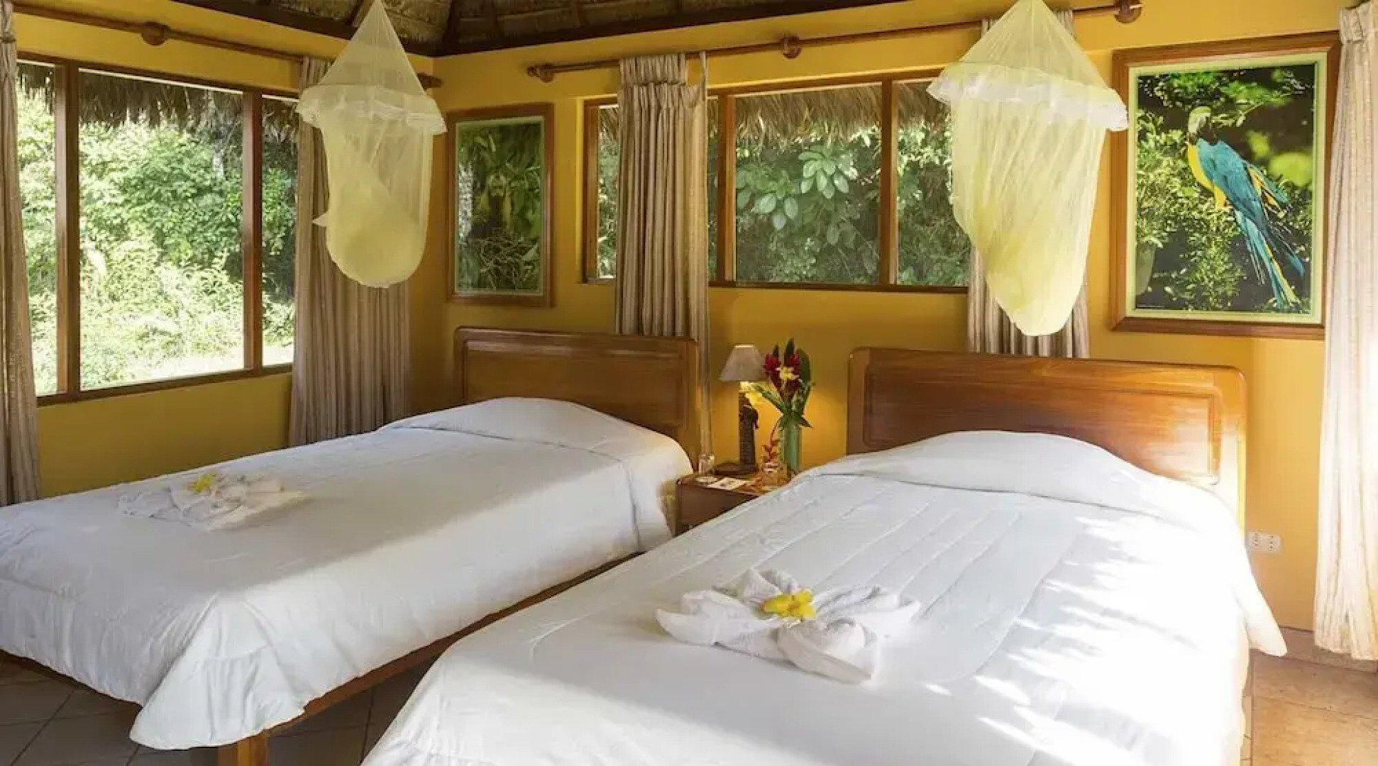 Tambopata Ecolodge