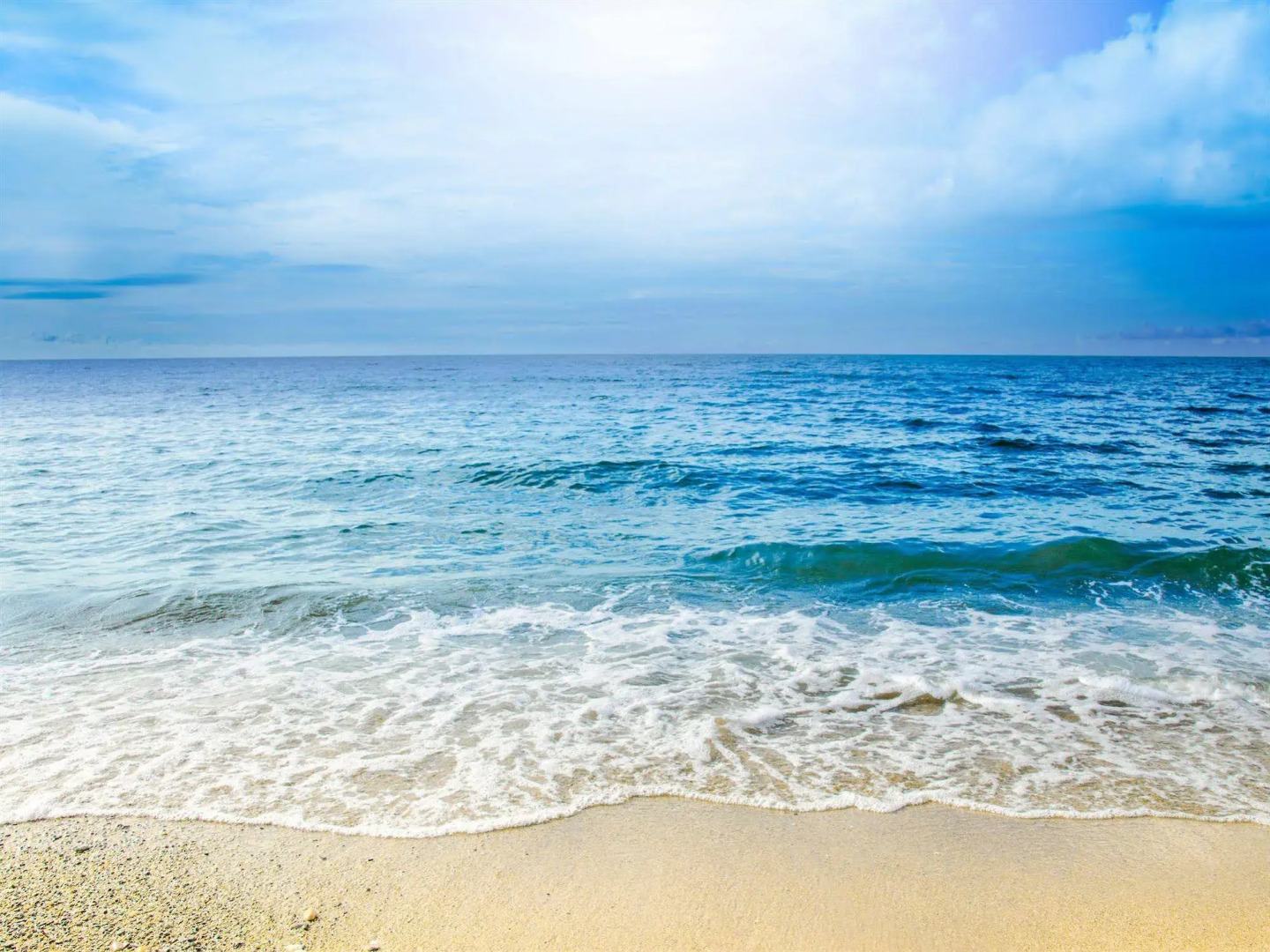 Paraiso Rainforest and Beach Hotel