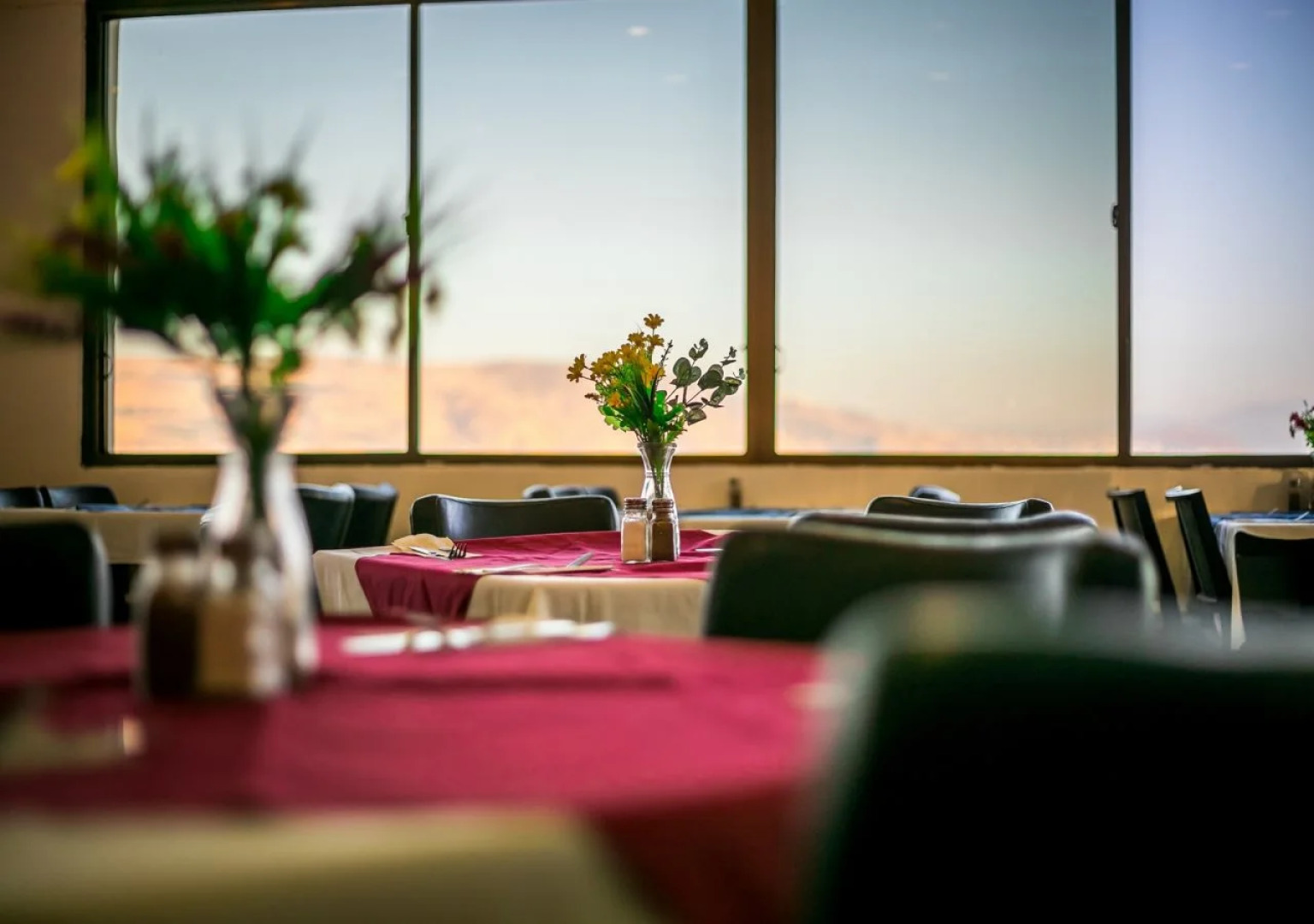 Daria - Authentic Israel Experience