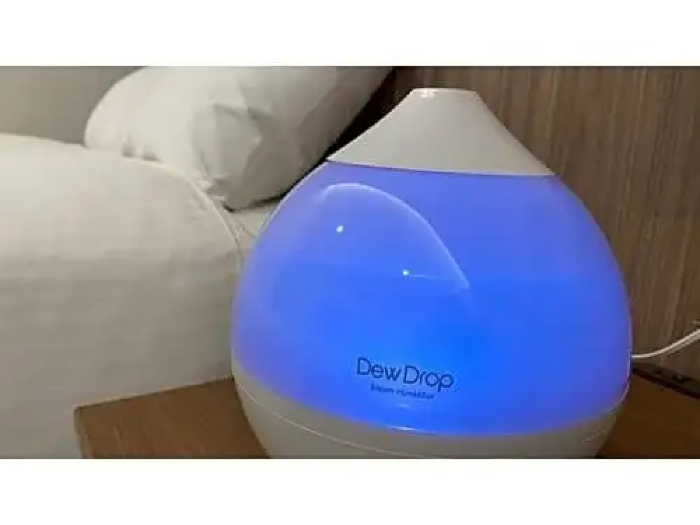 Papurika hotel desu - Vacation STAY 27548v