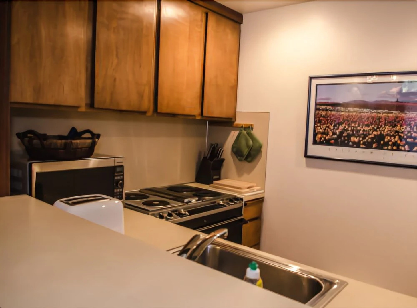 Mt. Baker Lodging Condo 20 – FRPL, WiFi, Sleeps 6! by MBL