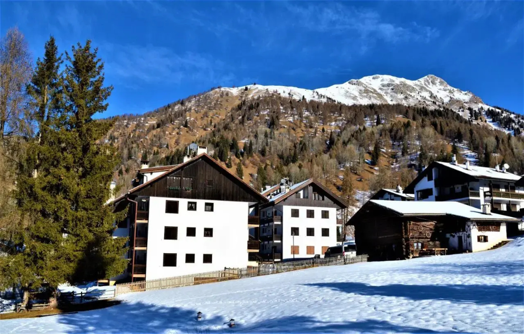 Hotel Stella Alpina
