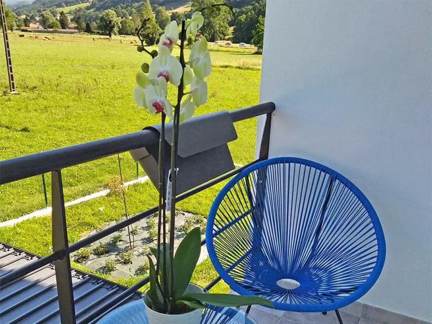 Casa del Zapatero 3000