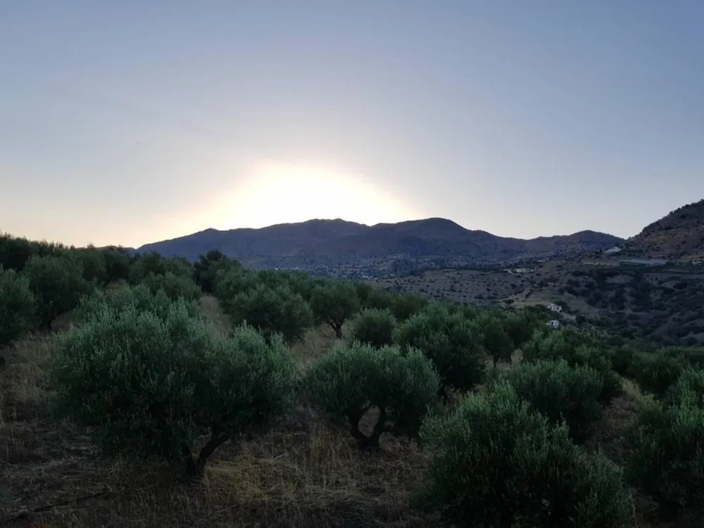 Creta Star Apartments