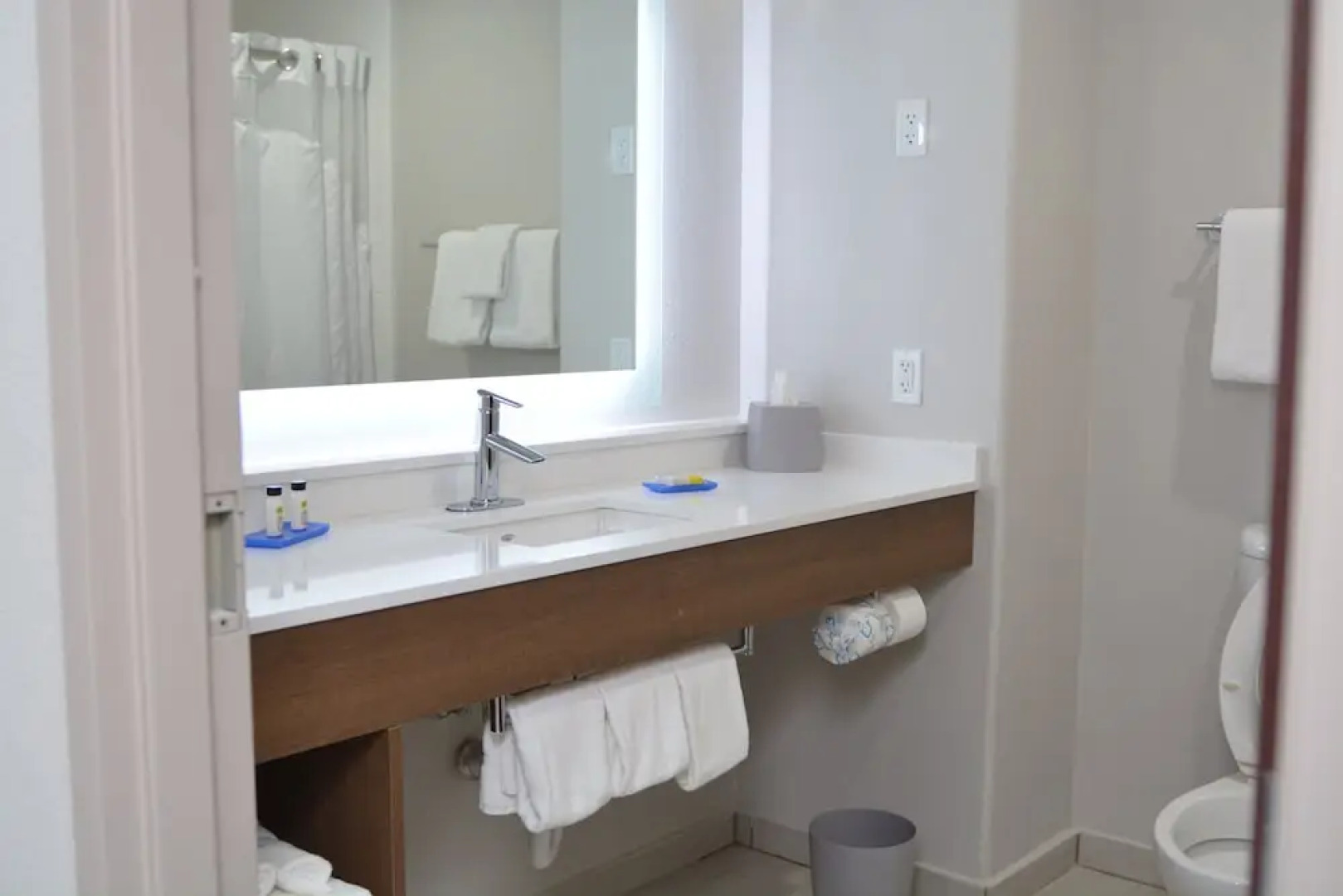 Holiday Inn Express Hotel & Suites Seguin