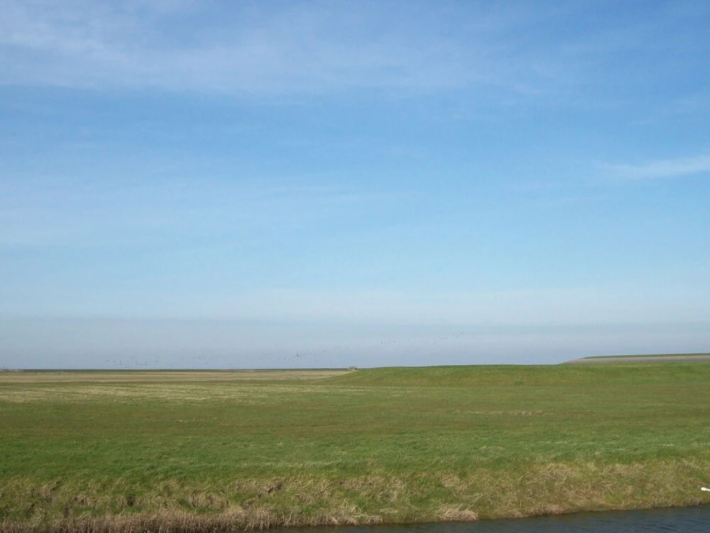 Modern Farmhouse in Friesland by the Sea