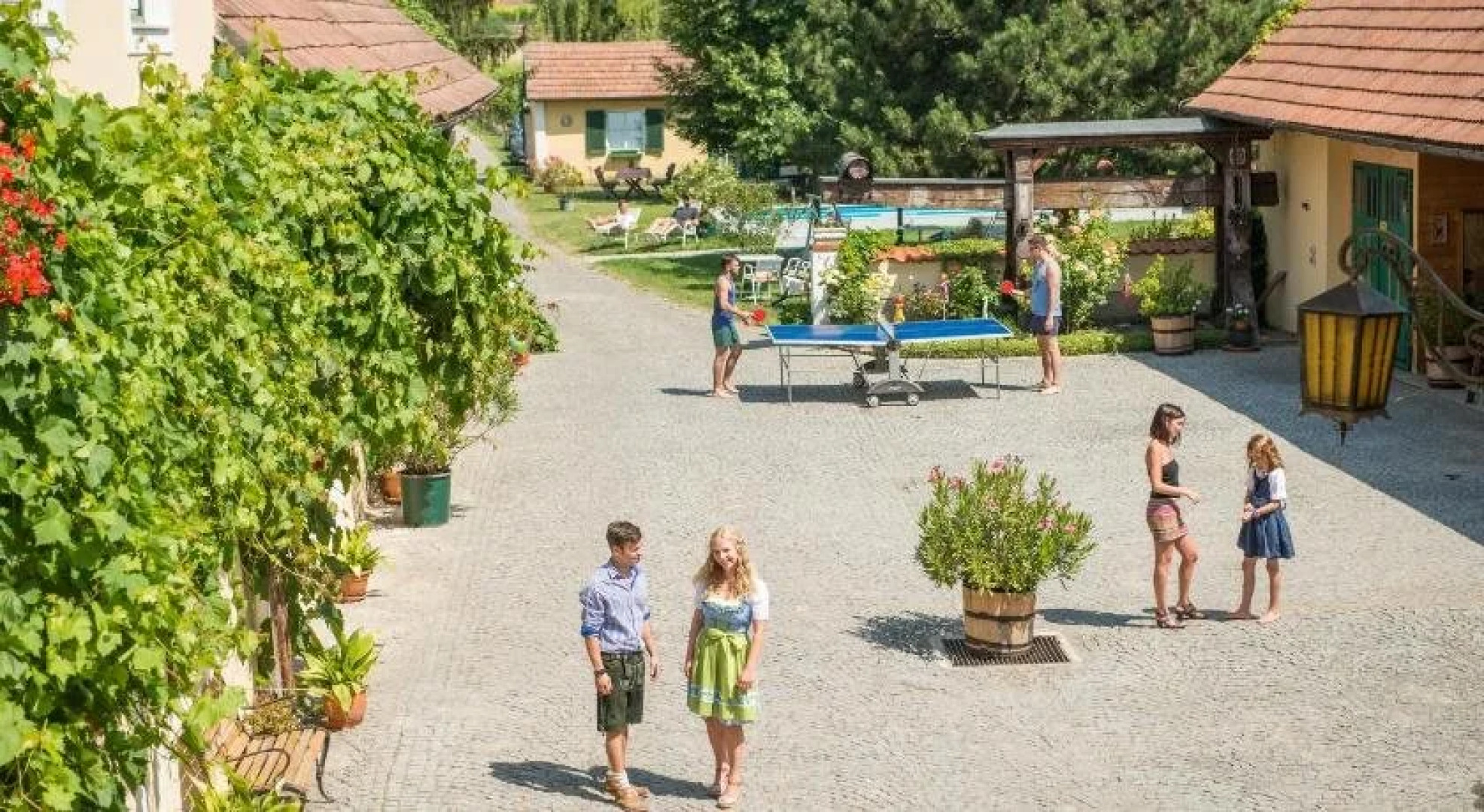 Bauernhof Winzerhof Bogner